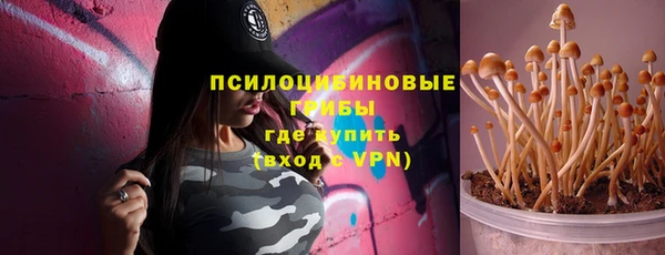 стаф Гусь-Хрустальный