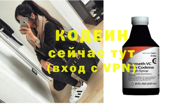 стафф Гусев
