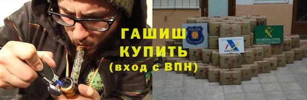 стафф Гусев