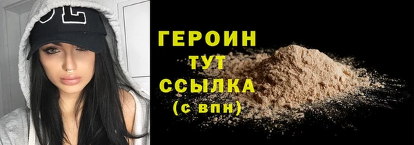 стафф Гусев