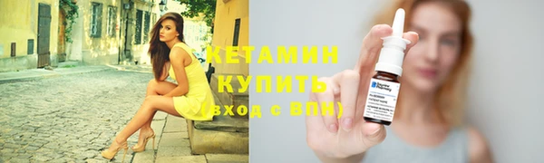 стафф Гусев