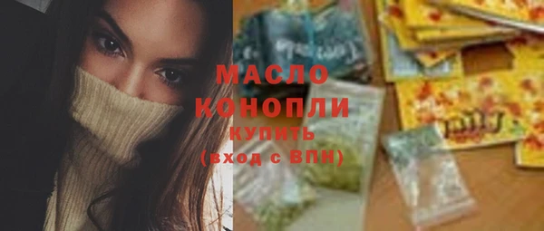 стаф Гусь-Хрустальный