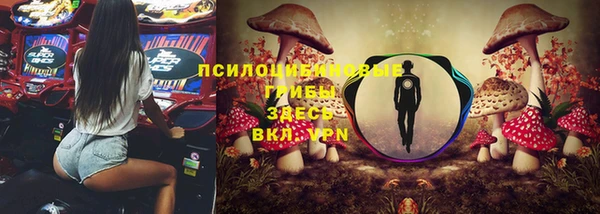 прущая мука Дмитриев