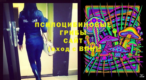 стаф Гусь-Хрустальный
