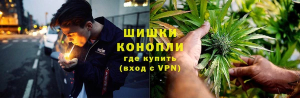 стафф Гусев