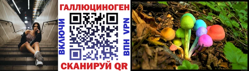 kraken сайт  Карабаново  Псилоцибиновые грибы Psilocybine cubensis 